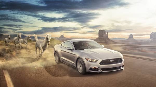 Photograph Dusan Holovej Mustangs on One Eyeland